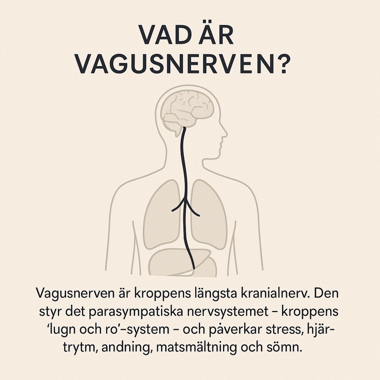 VagusCalm™